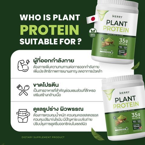 A 1:1 educational ad for Plant Protein, using icons and bulleted lists to break down target customer needs and product benefits.